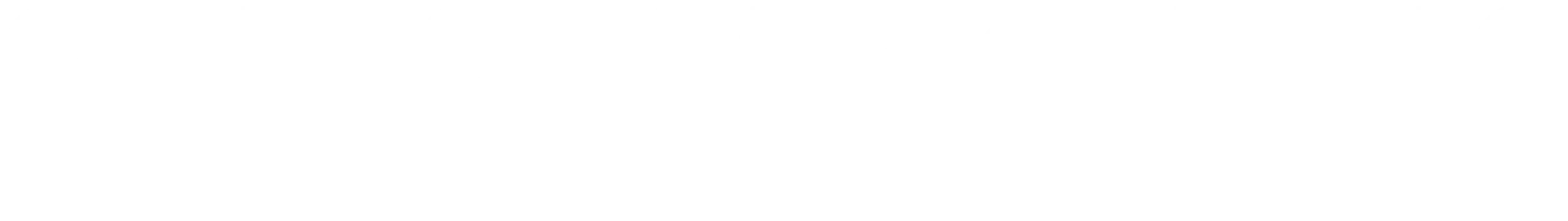 Optic Marketing Group White Logo